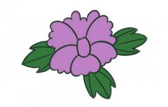 牡丹花简笔画的画法及图片大全