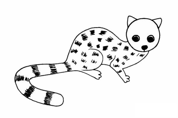 灵猫简笔画图片