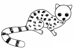 灵猫简笔画步骤画法教程及图片大全