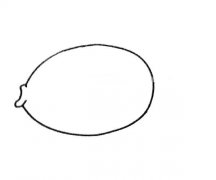 儿童学画神仙鱼简笔画步骤教程