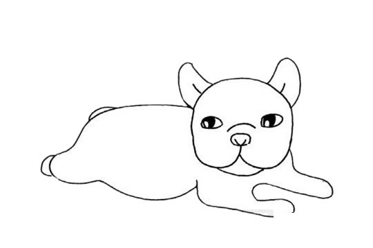 斗牛犬简笔画图片