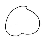 桃子简笔画的画法步骤图