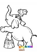 大象在表演简笔画