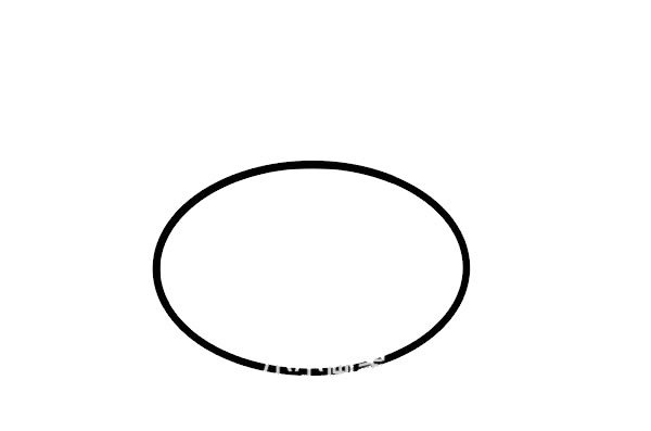 调皮小牛头像简笔画画法步骤图片