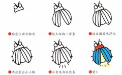 萤火虫简笔画画法_怎么画萤火虫的简笔画