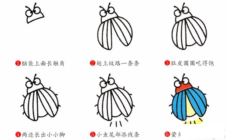 简笔画萤火虫的具体步骤图示