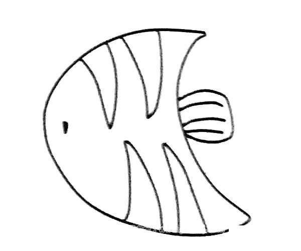 神仙鱼简笔画图片4