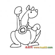 简笔画:袋鼠得奖了1