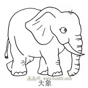 儿童简笔画：粗壮的大象