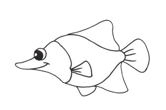 鲽鱼简笔画图片