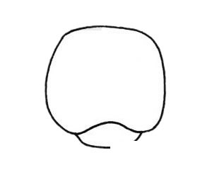 斗牛犬简笔画图片