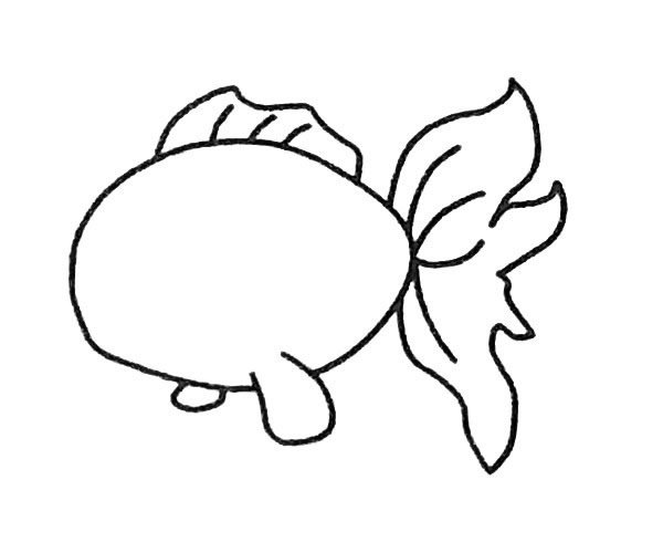 金鱼简笔画步骤3