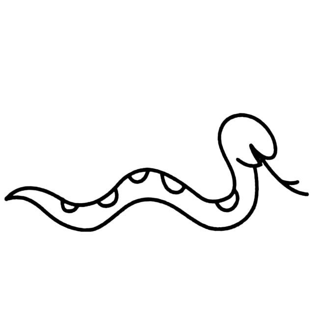 一条花蛇动物简笔画步骤图片大全