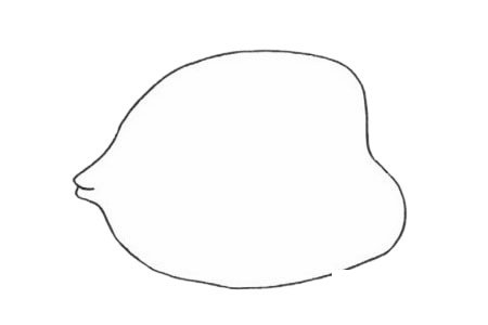 鲽鱼简笔画图片