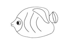 可爱的鲽鱼简笔画步骤图片大全