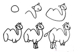 骆驼简笔画画法方法