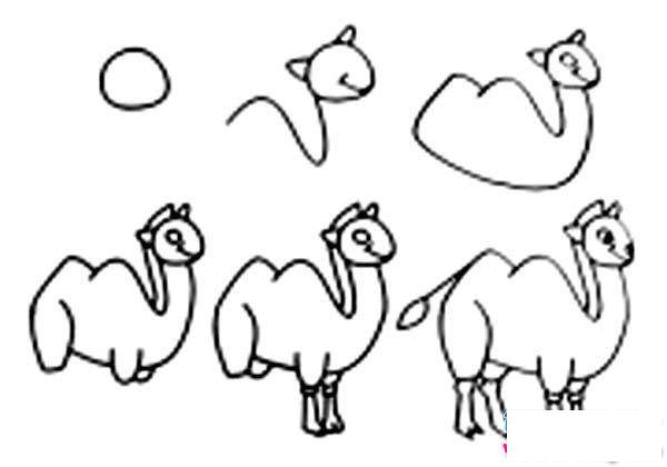 骆驼简笔画画法方法