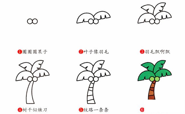 椰子树植物花简笔画步骤图片大全