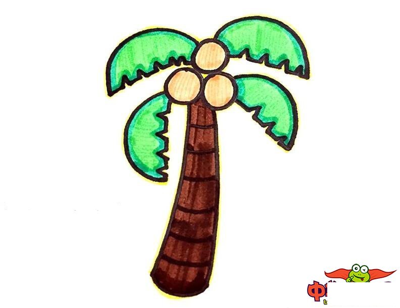 椰子树怎么画,椰子树简笔画带颜色