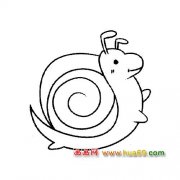 动物简笔画:玩耍的小蜗牛