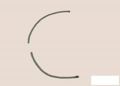 热带鱼简笔画的画法步骤图