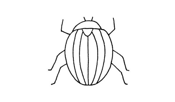 甲虫简笔画步骤画法及图片大全