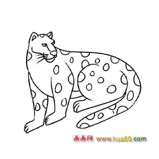 动物简笔画：坐着的豹子