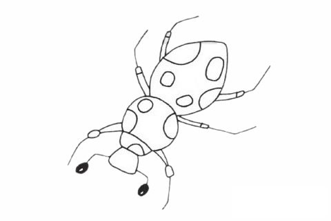 甲虫简笔画图片