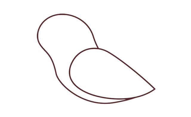 金刚鹦鹉简笔画步骤图解