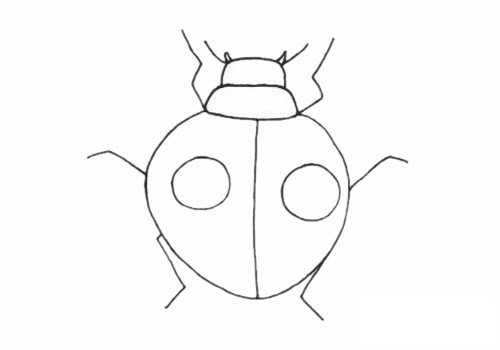 甲虫简笔画图片