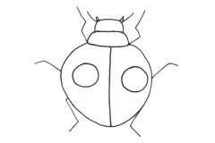 甲虫简笔画简单画法