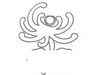 绽放的花朵简笔画