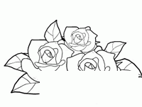 鲜花盛开简笔画