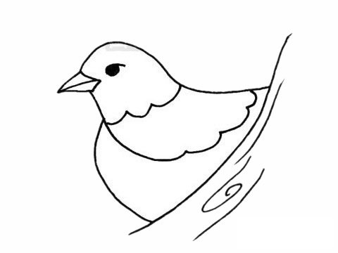 鹌鹑简笔画图片
