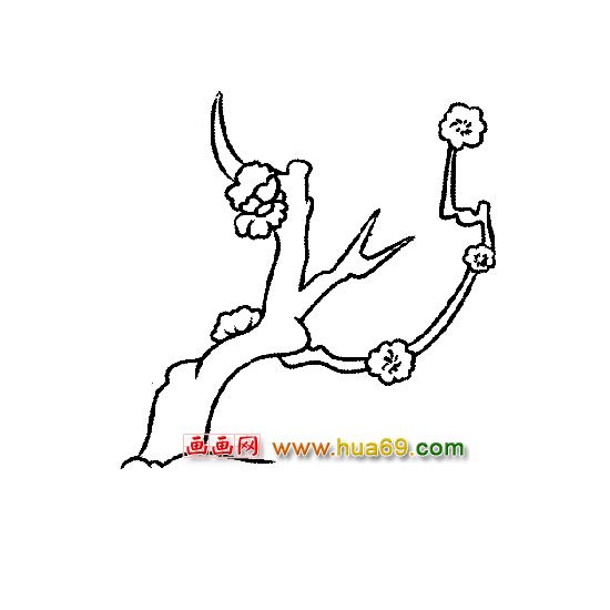 粗枝上的梅花-花卉简笔画