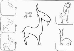 羚羊怎么画简笔画图片