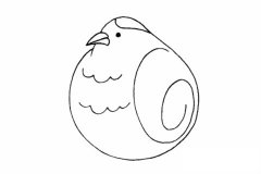 鹌鹑简笔画简单画法步骤图片大全