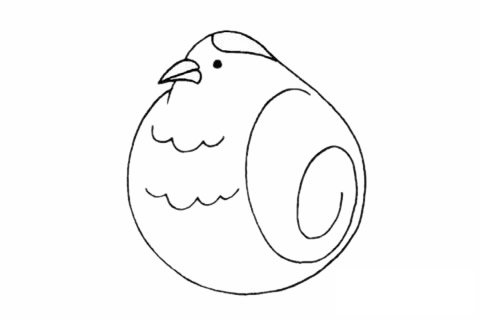 鹌鹑简笔画