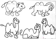 各种骆驼简笔画图片大全