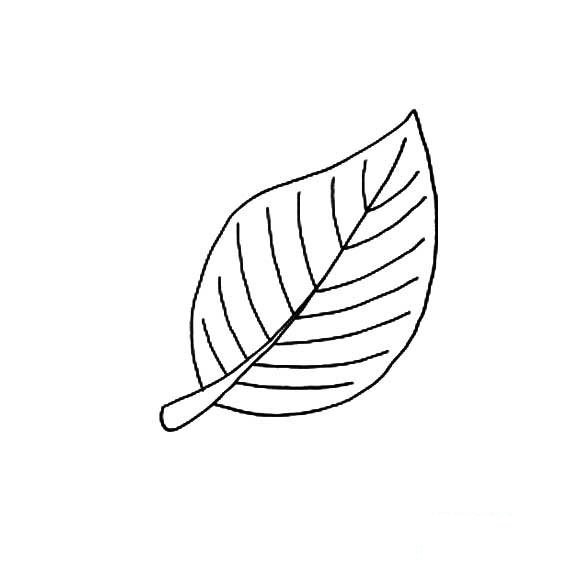 一片树叶叶子画法