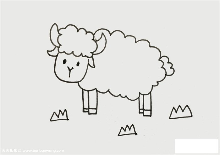 小羊怎么画简单又漂亮
