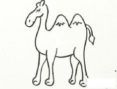 少儿动物简笔画:骆驼