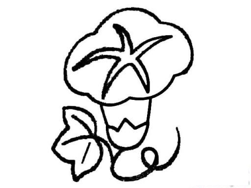 简笔画牵牛花的绽放的具体画法步骤图片教程