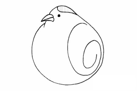 鹌鹑简笔画图片