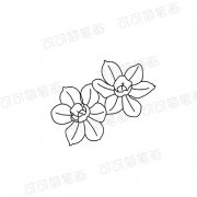 水仙花花朵的画法