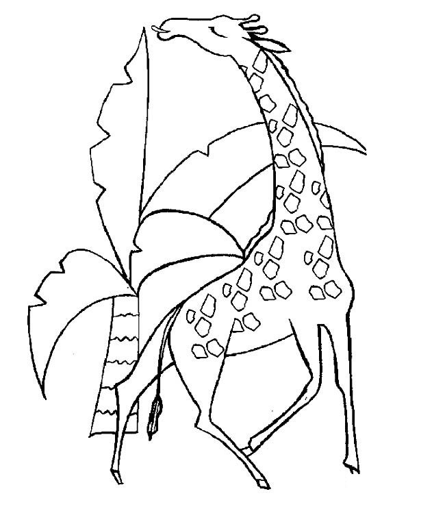 吃树叶的长颈动物简笔画步骤图片大全