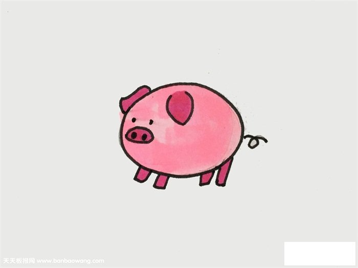小猪怎么画一步一步教