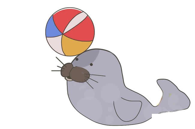 小海豹简笔画步骤图