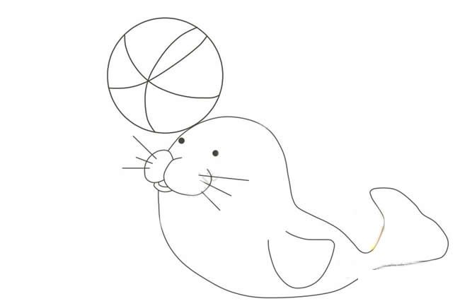 小海豹简笔画步骤图