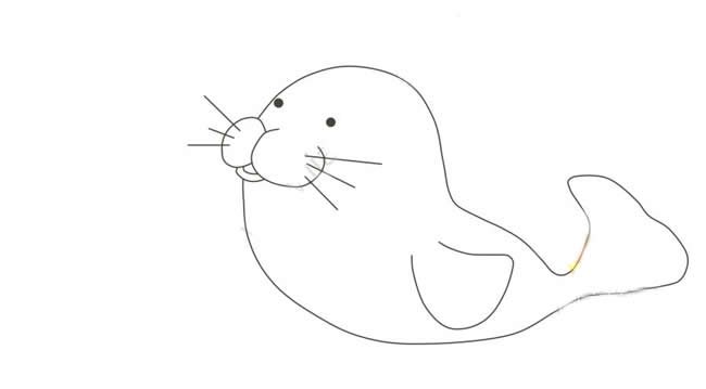 小海豹简笔画步骤图